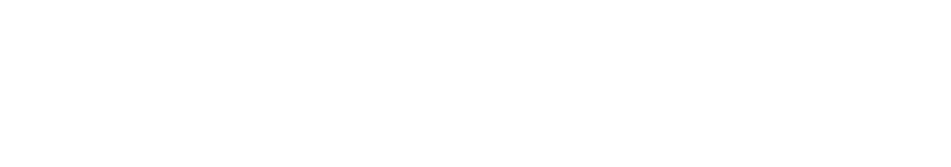 Logo CastMED